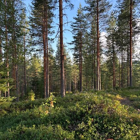 Loppiaiskaari 5, Paljakka Puolanka Екстер'єр фото