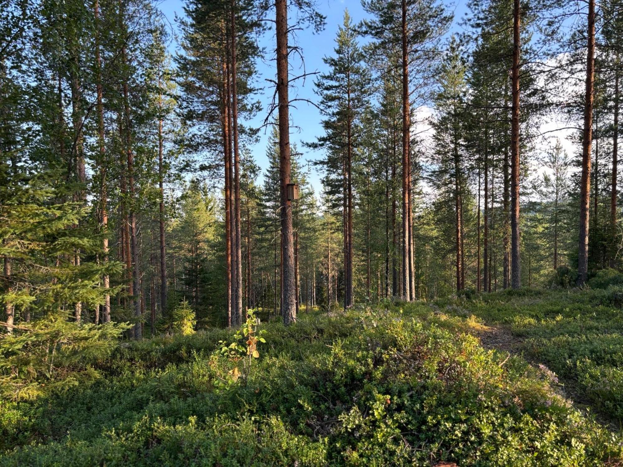 Loppiaiskaari 5, Paljakka Puolanka Екстер'єр фото